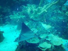 -成都浩海立方海洋公园