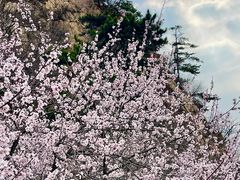 -天津盘山风景名胜区
