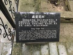 -康百万庄园
