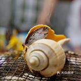 两种食材的碰撞也创造出另外一种美味