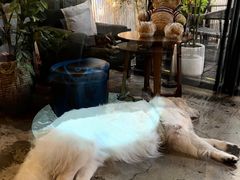 -咖法森林·咖啡  酒吧(天河店)