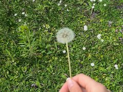 -成都中医药大学(温江校区)