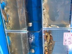 -云南巷海鲜大咖·可加工海鲜
