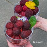 一口入夏！吃到超好吃的冰杨梅！