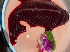 碗碗鸭血-渝味晓宇重庆火锅