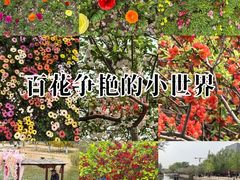 -元大都城垣遗址公园