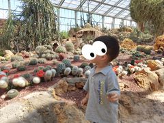 -南通洲际绿博园