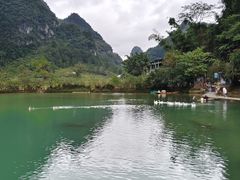 -靖西鹅泉风景区