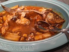 -阿五黄河大鲤鱼(英协路店)