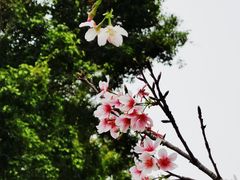 -文华公园(禅城区)