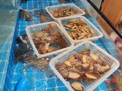 -锅老头铁锅炖•大锅蒸汽海鲜(韩乐坊店)