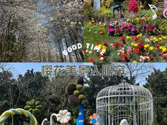 -上海共青森林公园