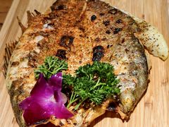 -双公羊·馕坑烤全羊(奥体店)