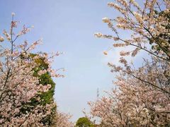 -幕燕滨江·长江观音景区