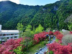 -古尔沟华美达温泉度假酒店