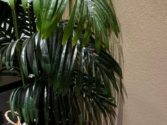 -若水云栖·足疗·按摩·SPA(城阳万达广场店)