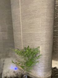 -美壹生皮肤管理中心