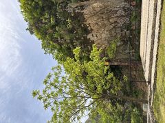 -大连天门山国家森林公园