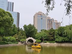 -团结湖公园