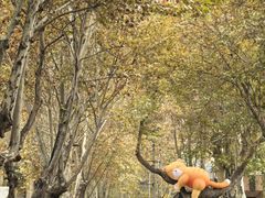 -西安电影制片厂