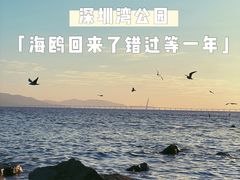 -深圳湾公园(南山区)