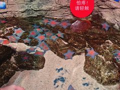 -沈阳海洋探索中心