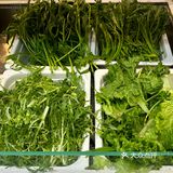 冬天❄️就要来一碗热乎乎的东北麻辣烫！