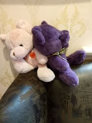 -素颜秀·纹眉·野生眉·纹唇半永久