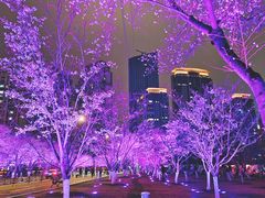 -西北湖绿化广场