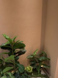 -丽都整形美容医院·全国连锁旗舰店