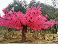 -常德桃花源景区