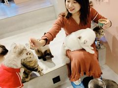 -猫儿山۰猫主题餐厅