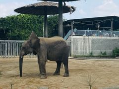 -常州淹城野生动物世界