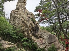 -涂山风景区