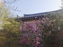 -珲春防川景区