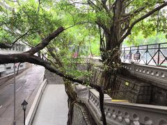 -香港佐治五世纪念公园