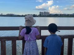 -鹤之洲湿地公园
