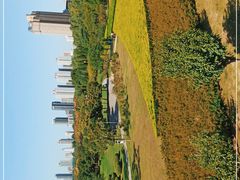 -咸阳湖景区-古渡公园