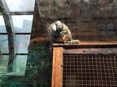 -上海大自然野生昆虫馆(东方明珠·爬宠昆虫探索中心)