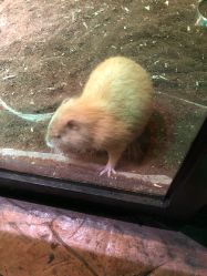 -酷嗒动物文化乐园(cutezoo西溪乐天城店)