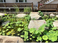 -大连罗马假日酒店温泉