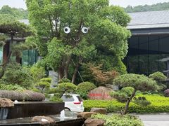 -杭州开元森泊度假乐园