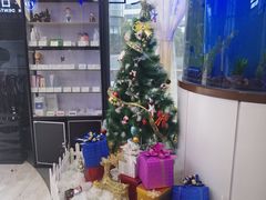 -方津口腔(旺墩路店)