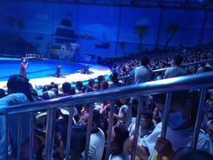 -华夏文旅海洋公园