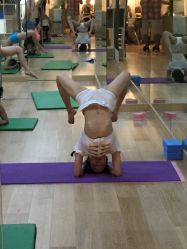 -华翎国际钢管舞培训