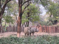 -北京野生动物园