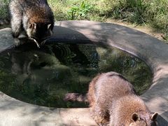 -青藏高原野生动物园