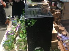 -酷乐潮玩(城西银泰城店)