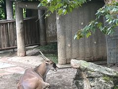 -成都动物园