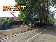 -大屏嶂森林公园